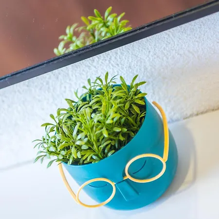 Middle Street Daire Mostar